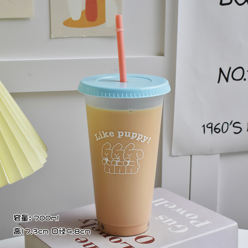 플라스틱 물병 귀여운 커피 주스 우유 차 카와이 Len - Coffee Tea Equipment 리뷰 및 가격